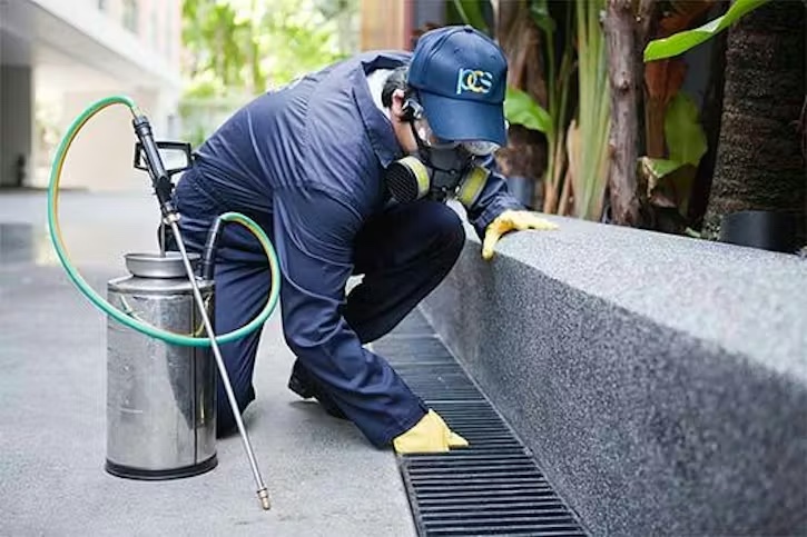 A pest control technician in a uniform, respirator, and gloves sprays insecticide into an outdoor drain near a concrete wall.