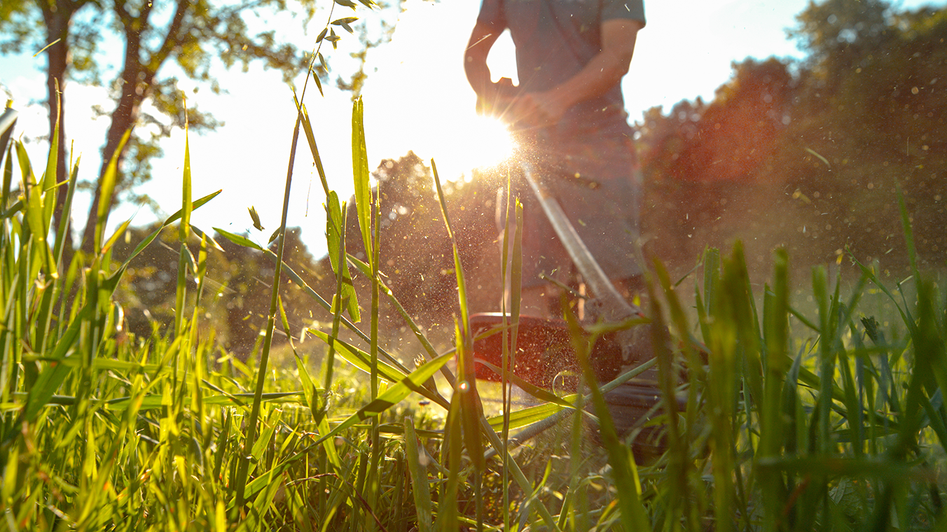 Running a Seasonal Fleet? Here’s How GPS Tracking Makes It Manageable